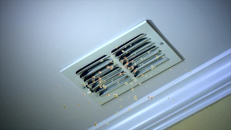 Best Affordable Air Duct Cleaning  in Riva, MD