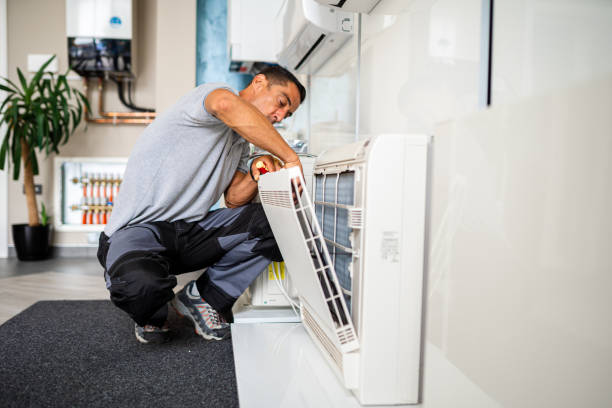 Best Air Duct Mold Removal  in Riva, MD